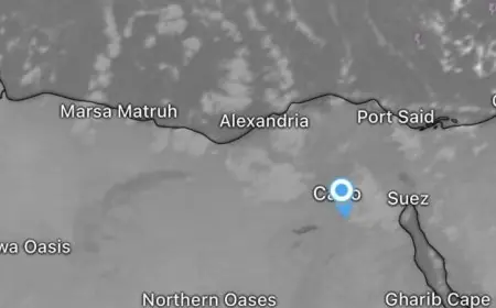 الأرصاد الجوية تحذر من تقلبات شتوية قوية في مصر طقس دافئ نهارا وبارد ليلا مع ارتفاع حرارة القاهرة إلى 21 درجة