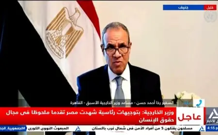 وزير الخارجية يكشف عن تقدم مصر الملحوظ في حقوق الإنسان بتوجيهات رئاسية