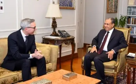 عبد العاطي يناقش فرص التعاون الاقتصادي مع الرئيس التنفيذي لشركة سكاتك النرويجية