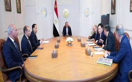 الرئيس السيسي يرحب برئيس شركة GCL الصينية لتعزيز التعاون الاقتصادي