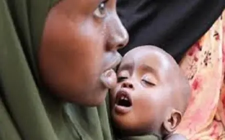 الصومال يحذر من أزمة جوع تهدد 6.5 مليون شخص بسبب الجفاف ووقف المساعدات الإنسانية