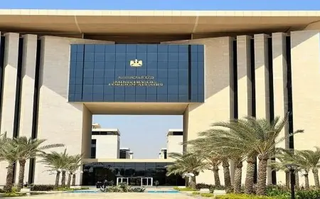 مصر تندد بقوة بالاعتداءات على المدنيين في شمال دارفور وتؤكد التزامها بوحدة السودان ودعمها المستمر