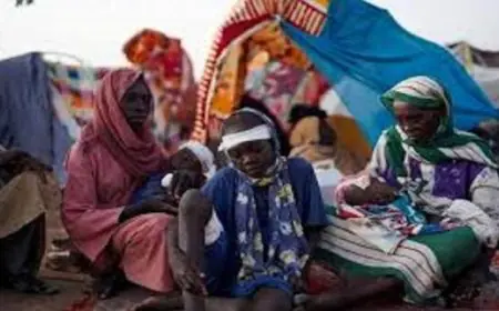 وزراء خارجية أوروبا يحذرون من عنف قوات الدعم السريع في الفاشر ويعتبرونه جرائم حرب