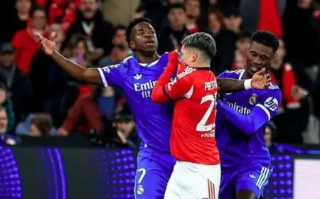 بريستياني يعترف بممارسته العنصرية ضد فينيسيوس ويكشف عن تصريحاته الجديدة لاعب بنفيكا