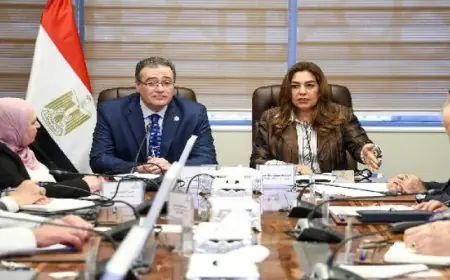 وزيرة التنمية المحلية والبيئة تبحث تعديلات الهياكل التنظيمية مع رئيس الجهاز المركزي للتنظيم والإدارة