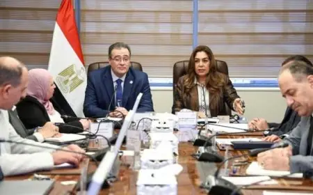 منال عوض تناقش إصلاح الهياكل التنظيمية في الوزارة مع رئيس الجهاز المركزي