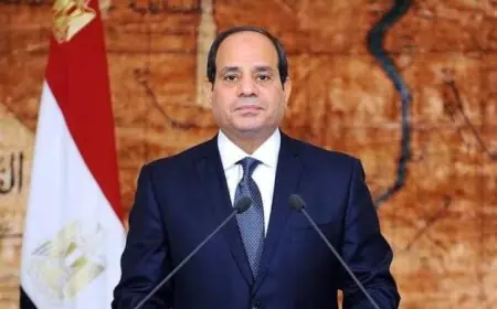 رئيس مجلس الشيوخ يبعث تهنئة للرئيس السيسي بمناسبة ذكرى انتصار العاشر من رمضان