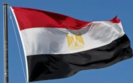مصر تعبر عن قلقها من تصاعد التوترات بين باكستان وأفغانستان وتدعو إلى التهدئة الفورية