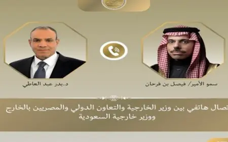 وزير الخارجية يؤكد مع نظيره السعودي أهمية خفض التصعيد وكبح التوترات في المنطقة