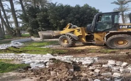 الزراعة تكشف عن إزالة 877 حالة تعد على الأراضي الزراعية في أسبوع واحد