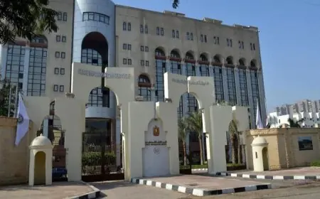 الهيئة العامة للاستعلامات تطالب الإعلام الأجنبي بالتأكد من دقة المعلومات المنشورة حول مصر