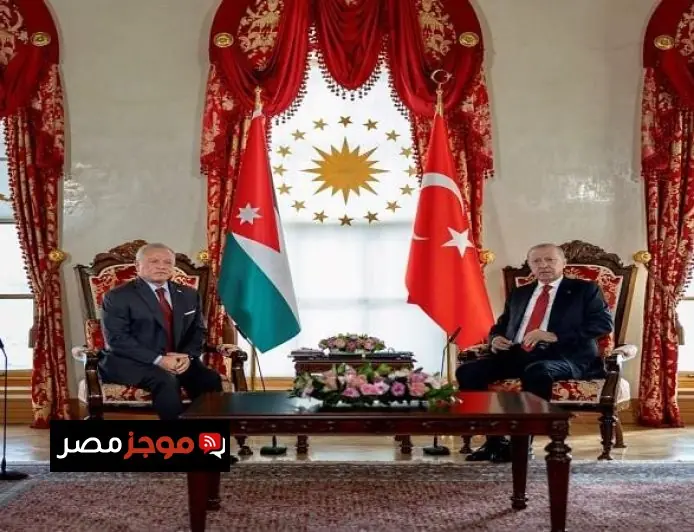 ملك الأردن والرئيس التركي يؤكدان أهمية الحلول السلمية لتهدئة التوترات مع إيران