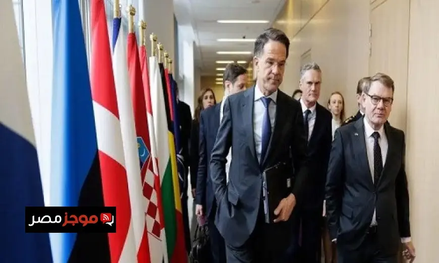 الناتو يبدأ المرحلة البحرية لمناورات ستيدفاست دارت 2026 في قاعدة روتا الإسبانية