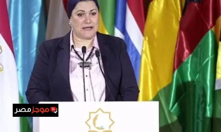 رئيسة الطفولة والأمومة تؤكد أهمية الآلية الوطنية لحماية الأطفال والأمهات في المجلس