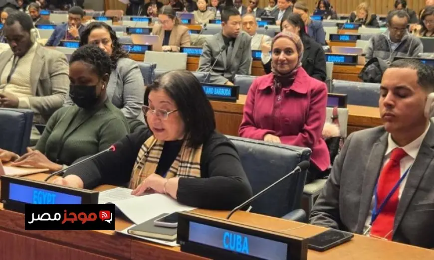 صاروفيم يمثّل مصر في فعاليات الدورة 64 للجنة التنمية الاجتماعية بالأمم المتحدة