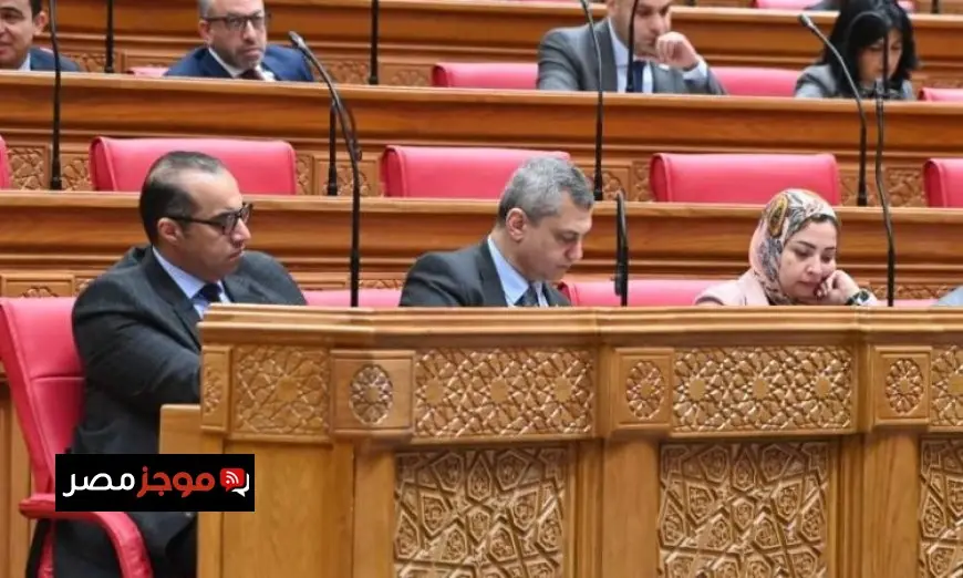 المستشار فوزي يشارك في الجلسة العامة لمجلس النواب لبحث مجموعة من القضايا الهامة