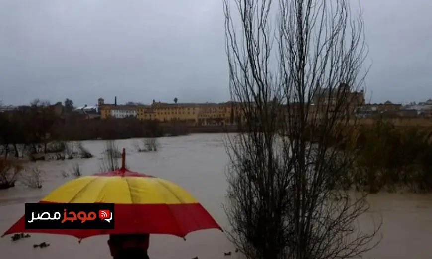 العاصفة مارتا تجتاح مزارع شبه الجزيرة الأيبيرية وتسبب أضرارًا واسعة