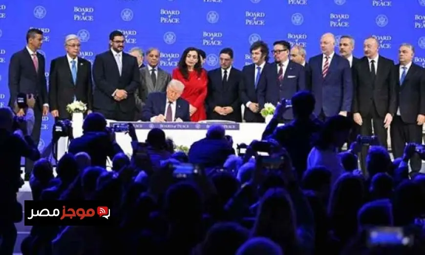 برلماني أوروبي يؤكد عدم إمكانية مجلس السلام كبديل للأمم المتحدة