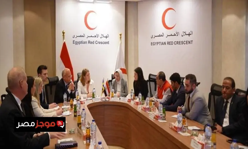 الهلال الأحمر يكشف عن مبادرات مصر لدعم الفلسطينيين خلال لقاء مع وزيرة الرعاية الصحية السويدية