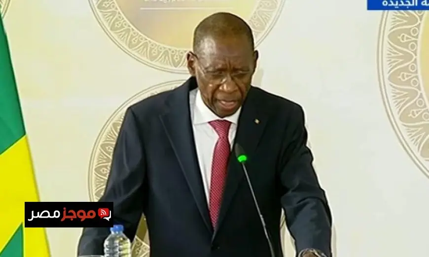 شيخ نيانج يؤكد توافق الآراء بين مصر والسنغال حول القضايا الأفريقية