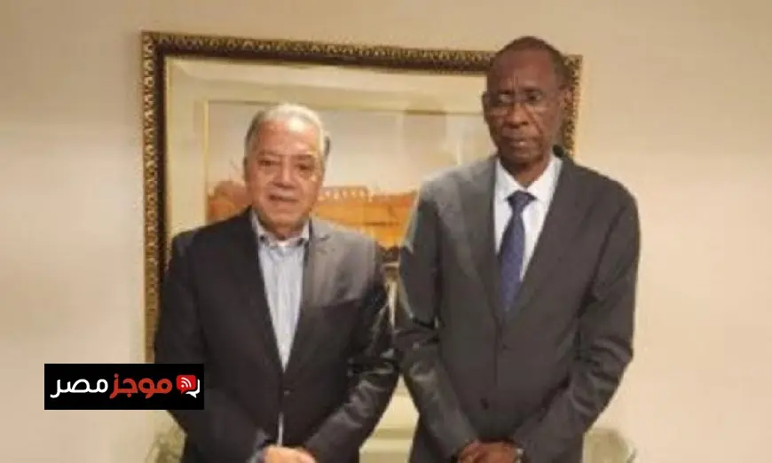 وزير خارجية السنغال يثني على النهضة التنموية المتألقة في مصر