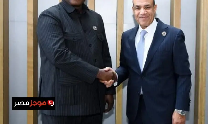 وزير الخارجية يناقش مع نظيره الجامبي تعزيز العلاقات الثنائية بين البلدين