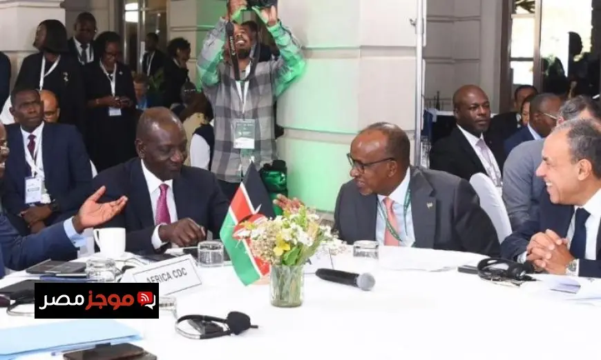 وزير الخارجية يتحدث في مائدة مستديرة حول تعزيز التصنيع المحلي للمنتجات الصحية