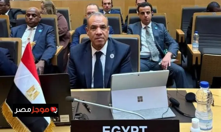 وزير الخارجية يقود وفد مصر في قمة الاتحاد الأفريقي بتكليف من رئيس الجمهورية