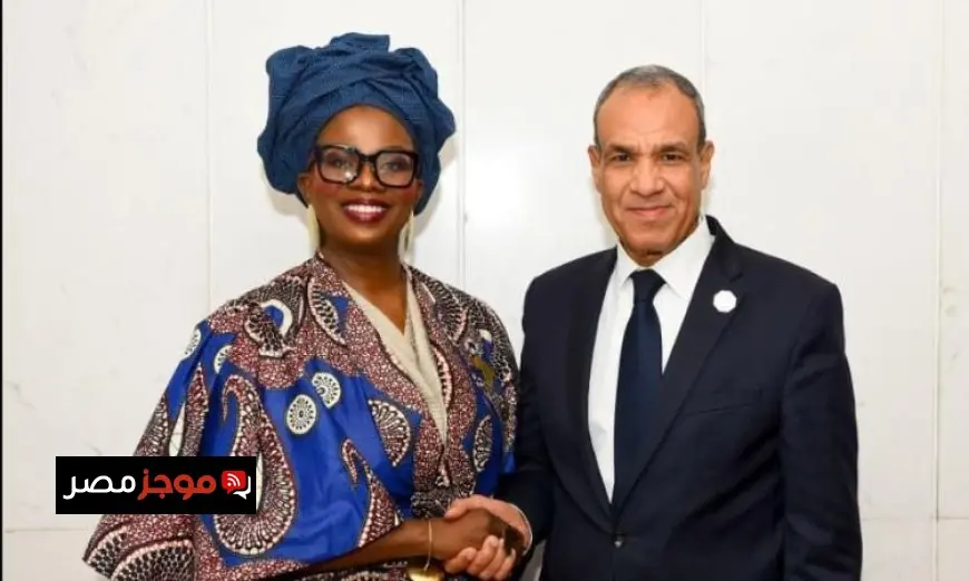 لقاء وزير الخارجية بمفوضة الطاقة والبنية التحتية في الاتحاد الإفريقي يعزز التعاون بين الدول الأفريقية