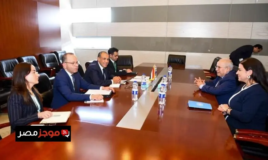 وزير الخارجية يبرز الموقف المصري الثابت من أزمة السودان