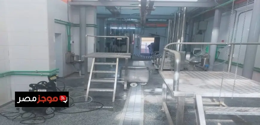 سبيس إكس تحقق إنجازًا كبيرًا بالاستحواذ على إكس إيه.آى في صفقة تاريخية