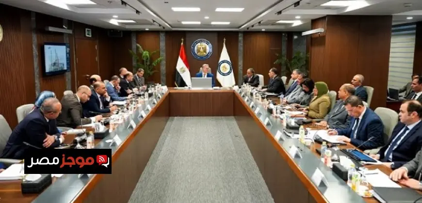 وزير البترول يؤكد أهمية شركة البتروكيماويات المصرية في تعزيز توطين المنتجات الأساسية