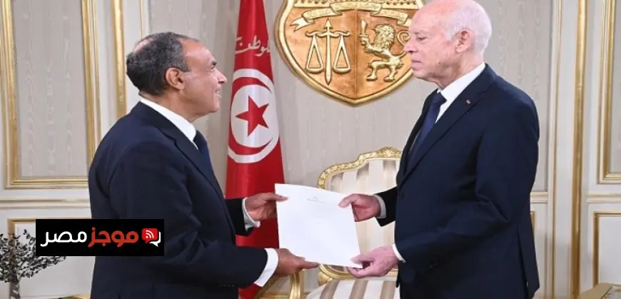 وزير الخارجية ينقل رسالة مهمة من الرئيس السيسى إلى الرئيس التونسى