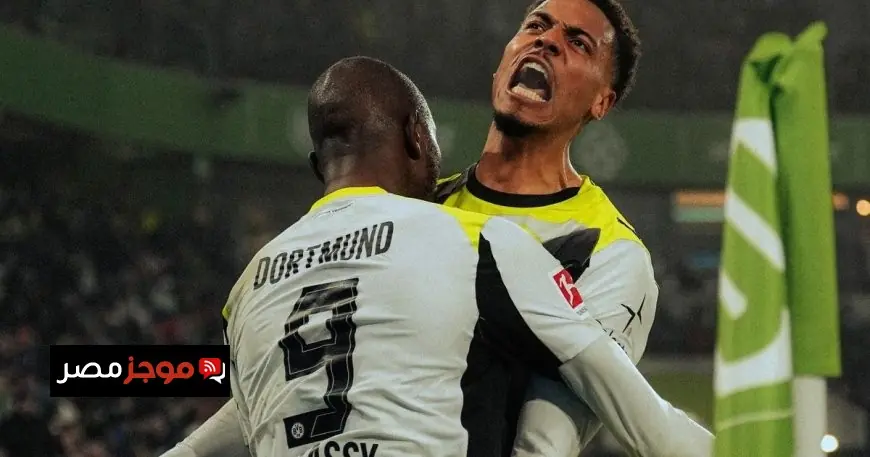 بوروسيا دورتموند يسجل أرباحاً تصل إلى 18.7 مليون يورو في نتائج مثيرة لعام 2023