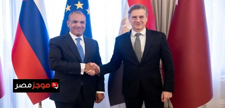 وزير الخارجية يستعرض سبل تعزيز التعاون مع رئيس وزراء سلوفينيا في مجالات متنوعة