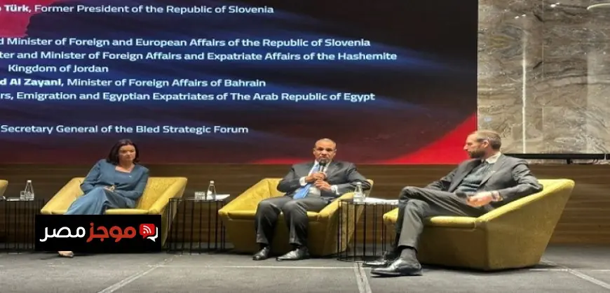 وزير الخارجية يؤكد أهمية ربط إدارة أزمة غزة برؤية شاملة لحل القضية الفلسطينية