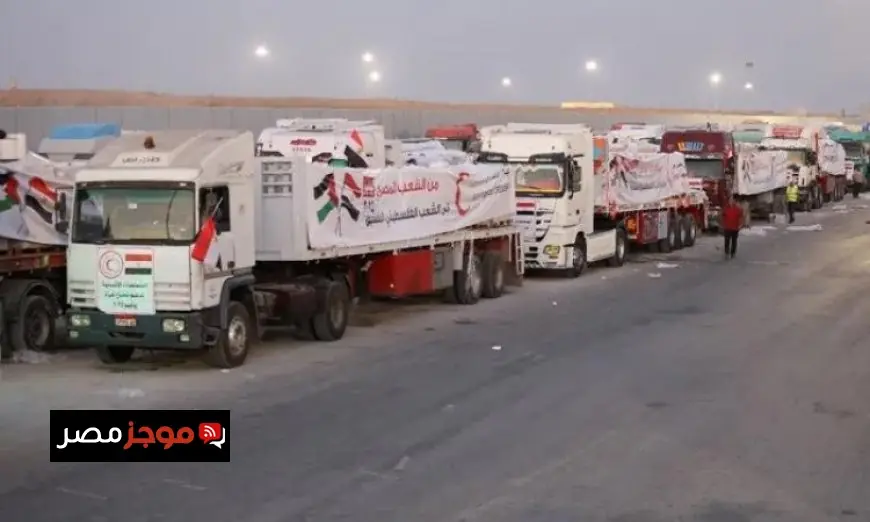 رئيس الهيئة الدولية لدعم فلسطين يشيد بمساهمة مصر في تعزيز تدفق المساعدات إلى غزة