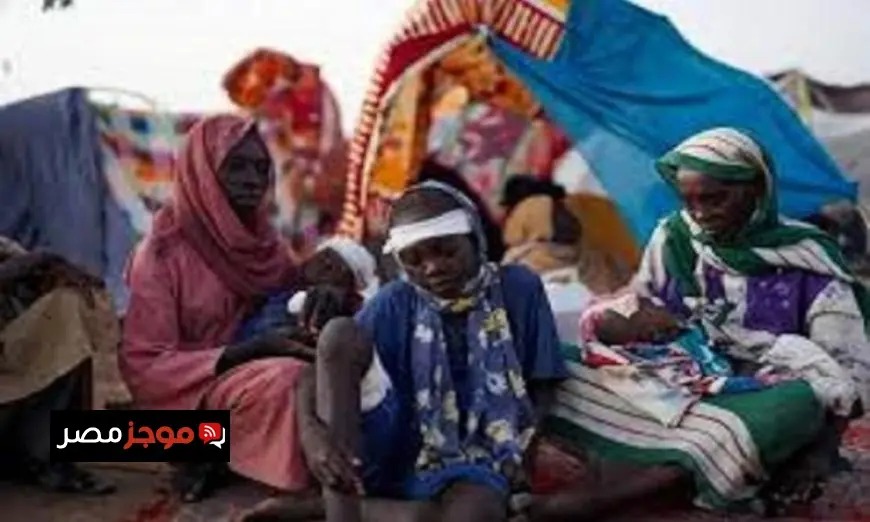 وزراء خارجية أوروبا يحذرون من عنف قوات الدعم السريع في الفاشر ويعتبرونه جرائم حرب