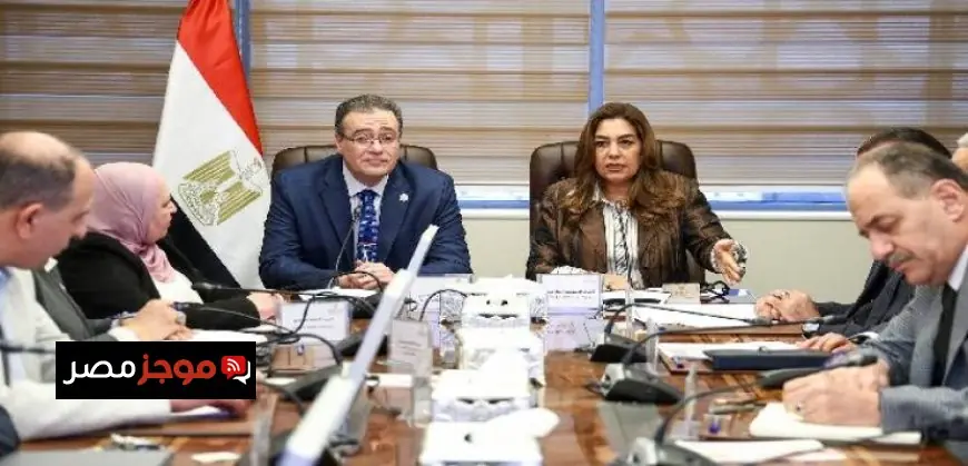 وزيرة التنمية المحلية والبيئة تبحث تعديلات الهياكل التنظيمية مع رئيس الجهاز المركزي للتنظيم والإدارة