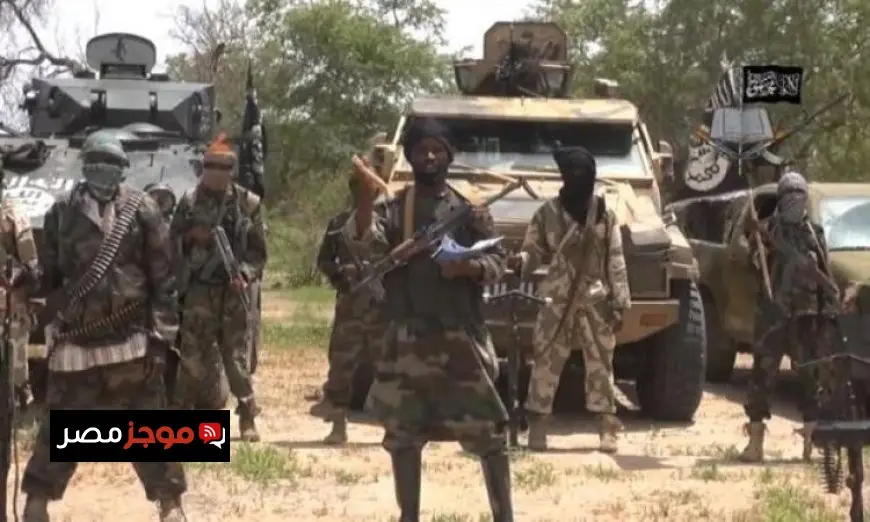 مقتل خمسة مسلحين من بوكو حرام في هجوم على الشمال الأقصى في الكاميرون