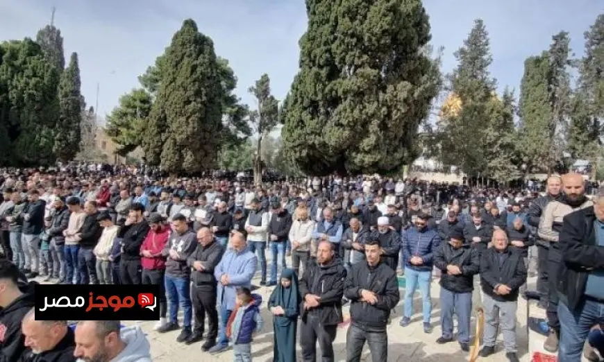 الاحتلال الإسرائيلي يعزز تواجده العسكري حول قلقيلية وسط تصاعد التوترات