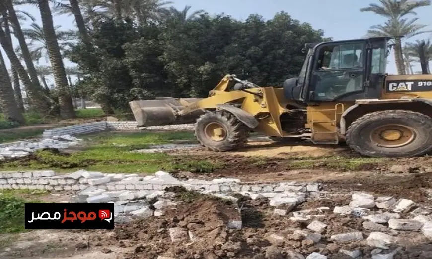 الزراعة تكشف عن إزالة 877 حالة تعد على الأراضي الزراعية في أسبوع واحد