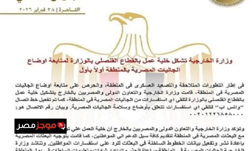 وزارة الخارجية تؤسس خلية عمل في القطاع القنصلي لرصد أوضاع الجاليات المصرية في الخارج