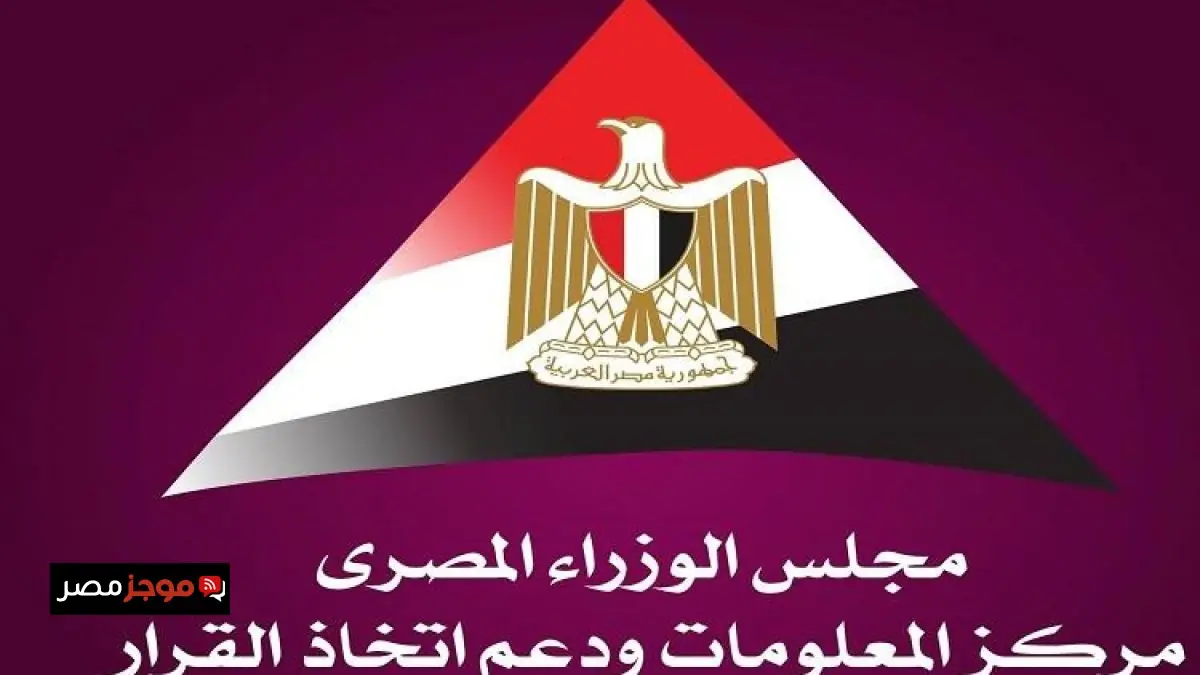 مصر تعزز الحماية الاجتماعية للعاملين في القطاع غير الرسمي بزيادة معلومات الوزراء