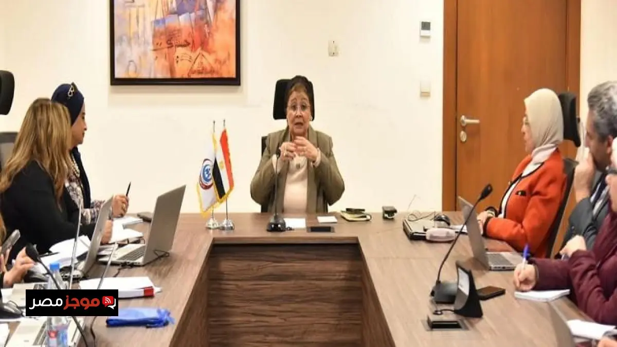 نائب وزير الصحة تتابع جهود تعزيز صحة الأم والطفل مع مركز معلومات مجلس الوزراء