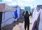 سلمان للإغاثة يوزع 30 ألف وجبة وسلال غذائية لمساعدة السكان في غزة