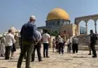 القدس تشهد تحريضاً عنصرياً مع تسليح المستوطنين في خطوة خطيرة لتصعيد الجرائم ضد الفلسطينيين