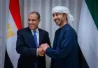 زيارة الدكتور عبدالعاطي تؤكد تضامن مصر مع الإمارات حسب تأكيد وزير الخارجية الإماراتي