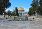 محافظة القدس تحذر من استمرار إغلاق المسجد الأقصى كأداة لفرض تهويد خطير
