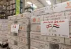 مصر تُرسل ألف طن من المساعدات الإغاثية العاجلة إلى لبنان تنفيذًا لتوجيهات الرئيس السيسي